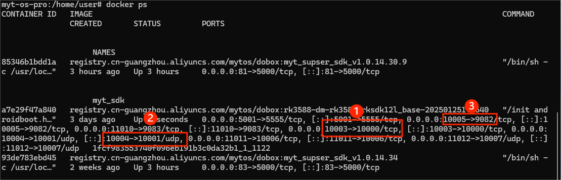 image-20250208182932733
